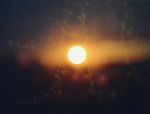 Photo solbrilletrends