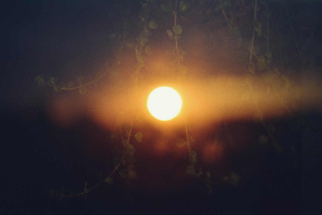 Photo solbrilletrends